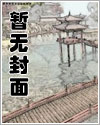 作者的定义
